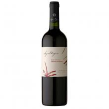 Vinho Apaltagua Cabernet Sauvignon Gran Verano 750 ml